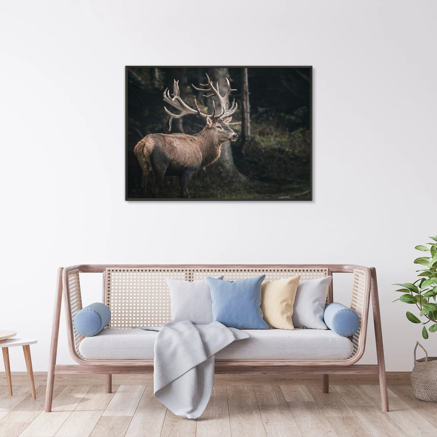 Antler Majesty Framed Print