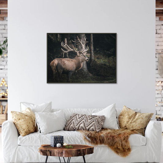 Antler Majesty Framed Print